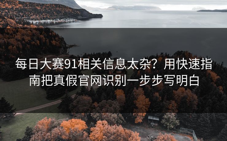 每日大赛91相关信息太杂？用快速指南把真假官网识别一步步写明白