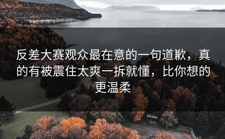 反差大赛观众最在意的一句道歉，真的有被震住太爽一拆就懂，比你想的更温柔